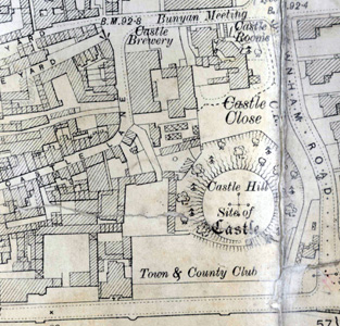 Higgins and Sons Castle Brewery in 1901